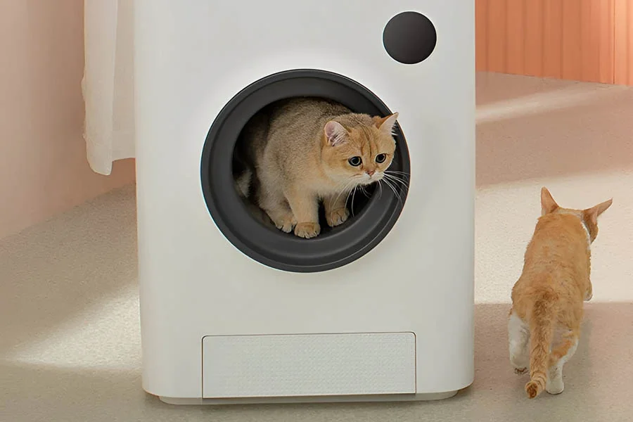 litter box for two cats