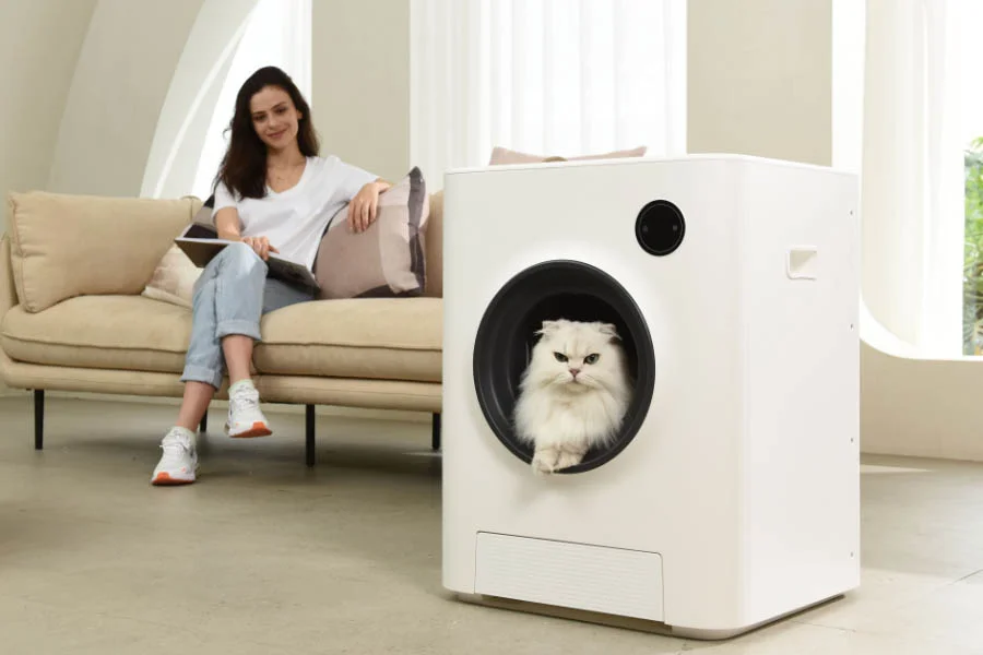 litter box for two cats