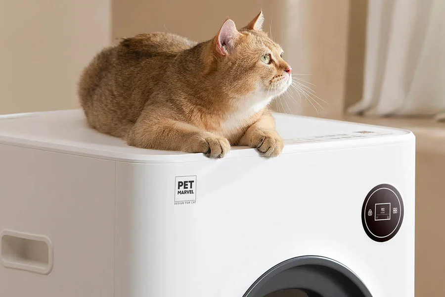 best automatic litter box for cats