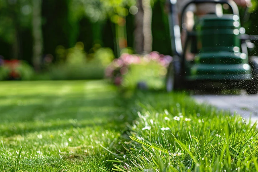 electric mulching mower