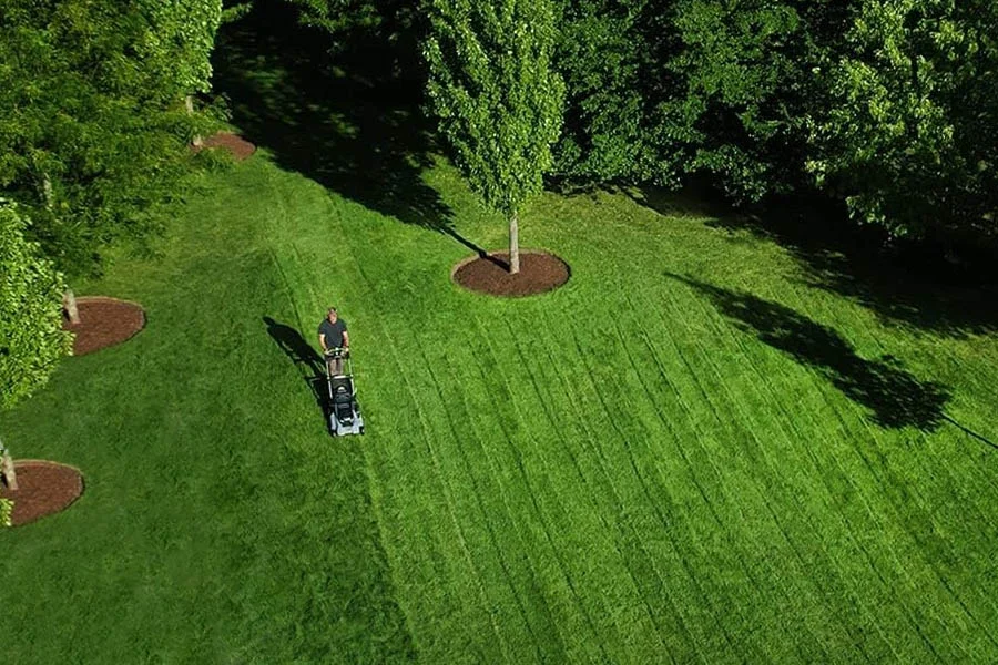 best battery lawn equipment