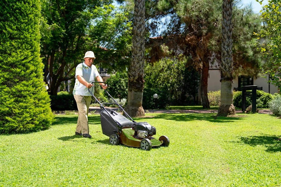 best battery push mower 2024