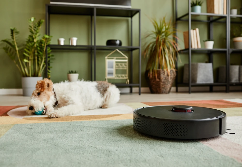 robot vacuum cleaner with charging station